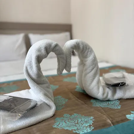 فلاي اسطنبول